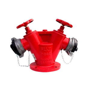 Đầu Trụ Chữa Cháy 2 Cửa Ra D65