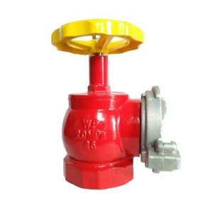 Van Góc Chữa Cháy D50
